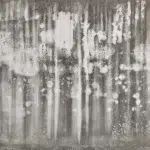 1235878_513370882073379_1914794193_n