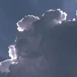 Backltc1