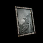 Pic_005
