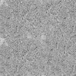 cgaxis_models_24_13_04_bump-scaled